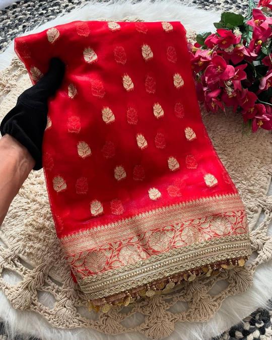 Dazira Kora organza Silk catalog online designer sarees surat