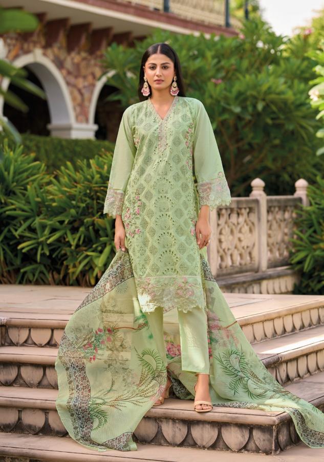Shree Fabs Shree Ombre Signature catalog pakistani suits wholesale dealers in delhi