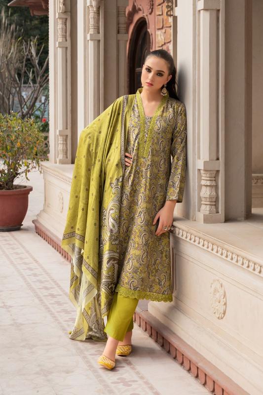 PRM India Rangeenz catalog unstitched heavy salwar kameez in jaipur wholesale
