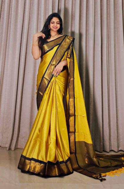Rani-Vol-5 Surat saree wholesale market