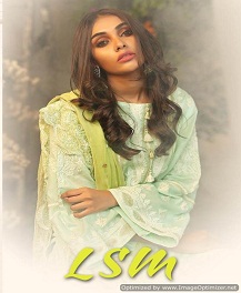 Lsm By Deepsy Suit Pakistani Salwar Suit Catalogue