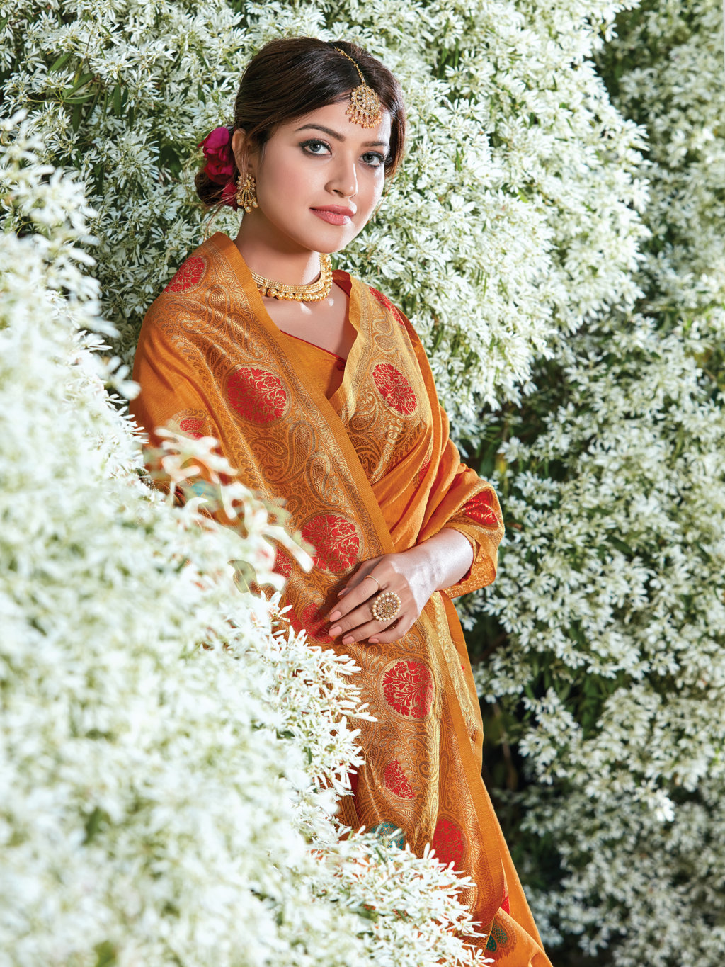 Sangam Presents Bur-berry Cotton Handloom Sarees