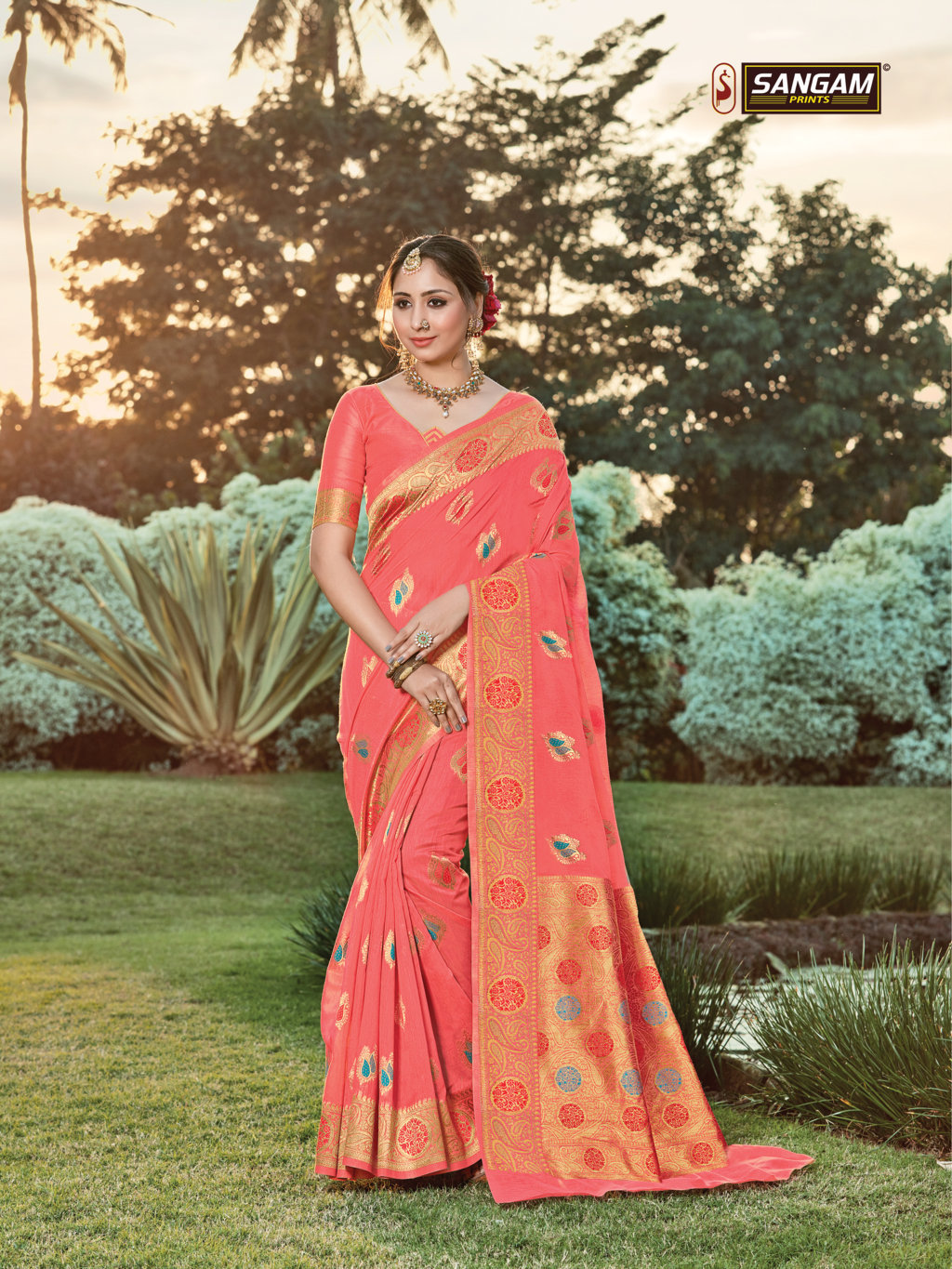 Sangam Presents Bur-berry Cotton Handloom Sarees