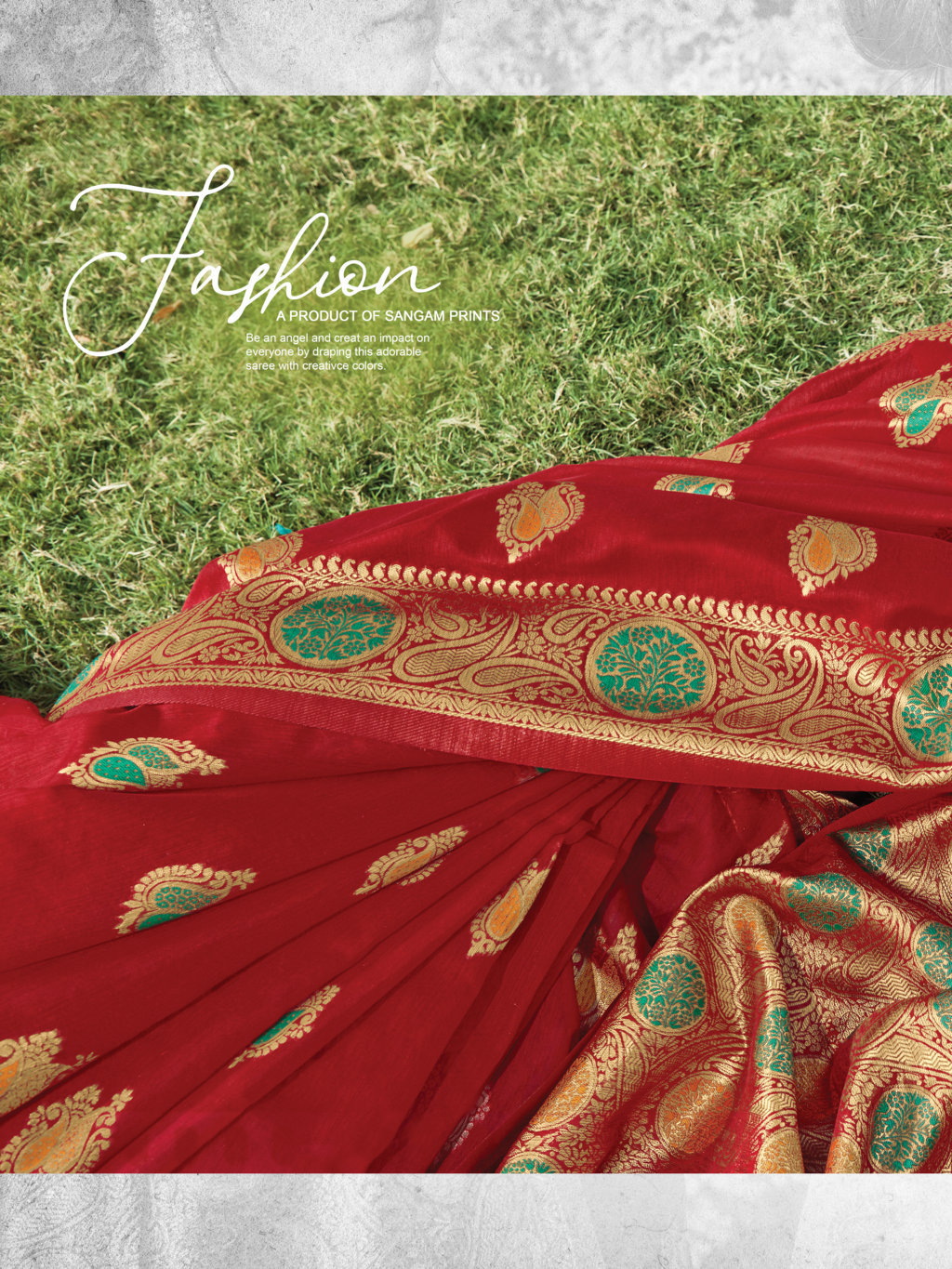 Sangam Presents Bur-berry Cotton Handloom Sarees