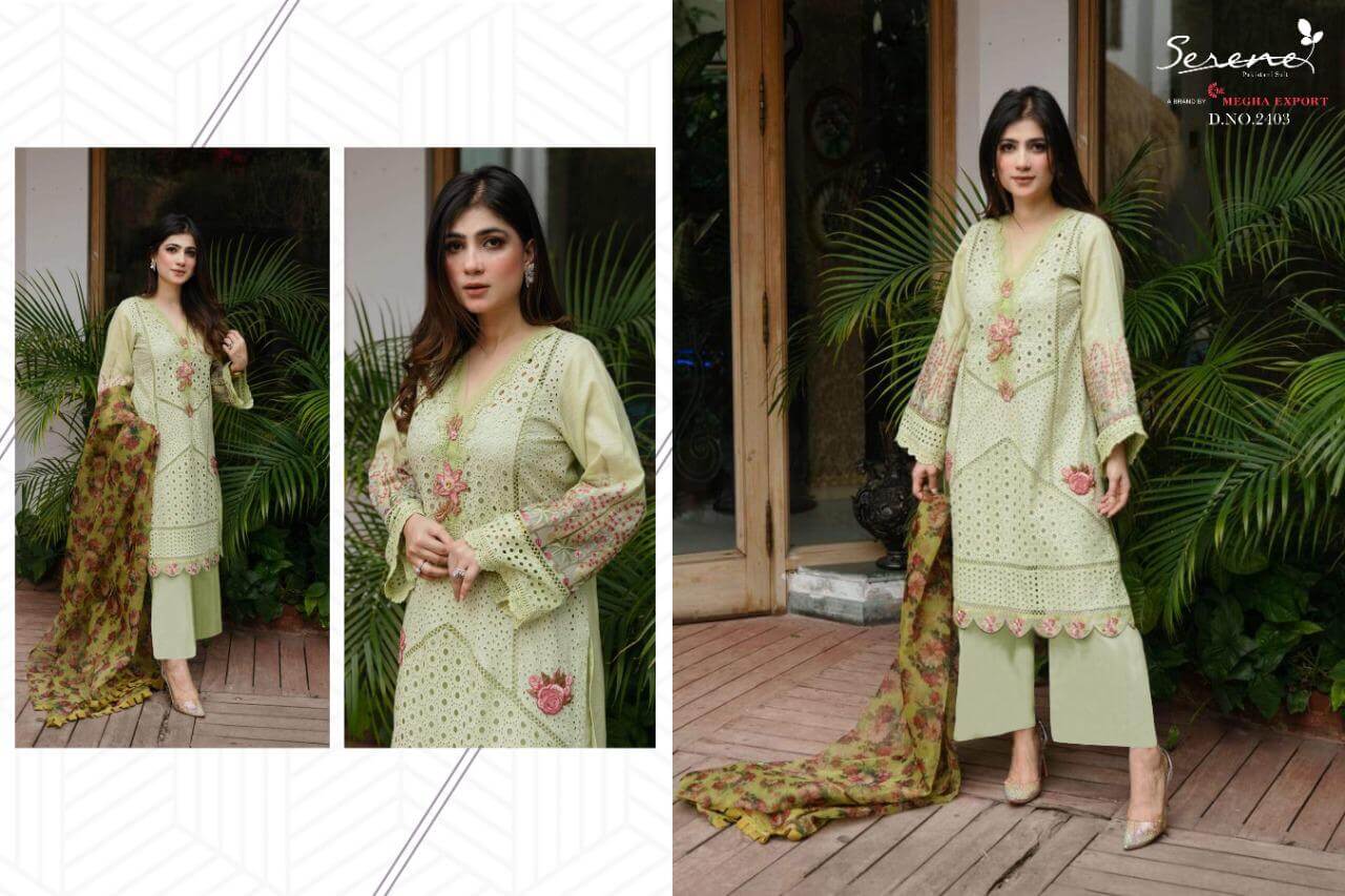 Serene Belle Ame Bulk Buy Wholesale Pakistani Salwar Kameez Catalog