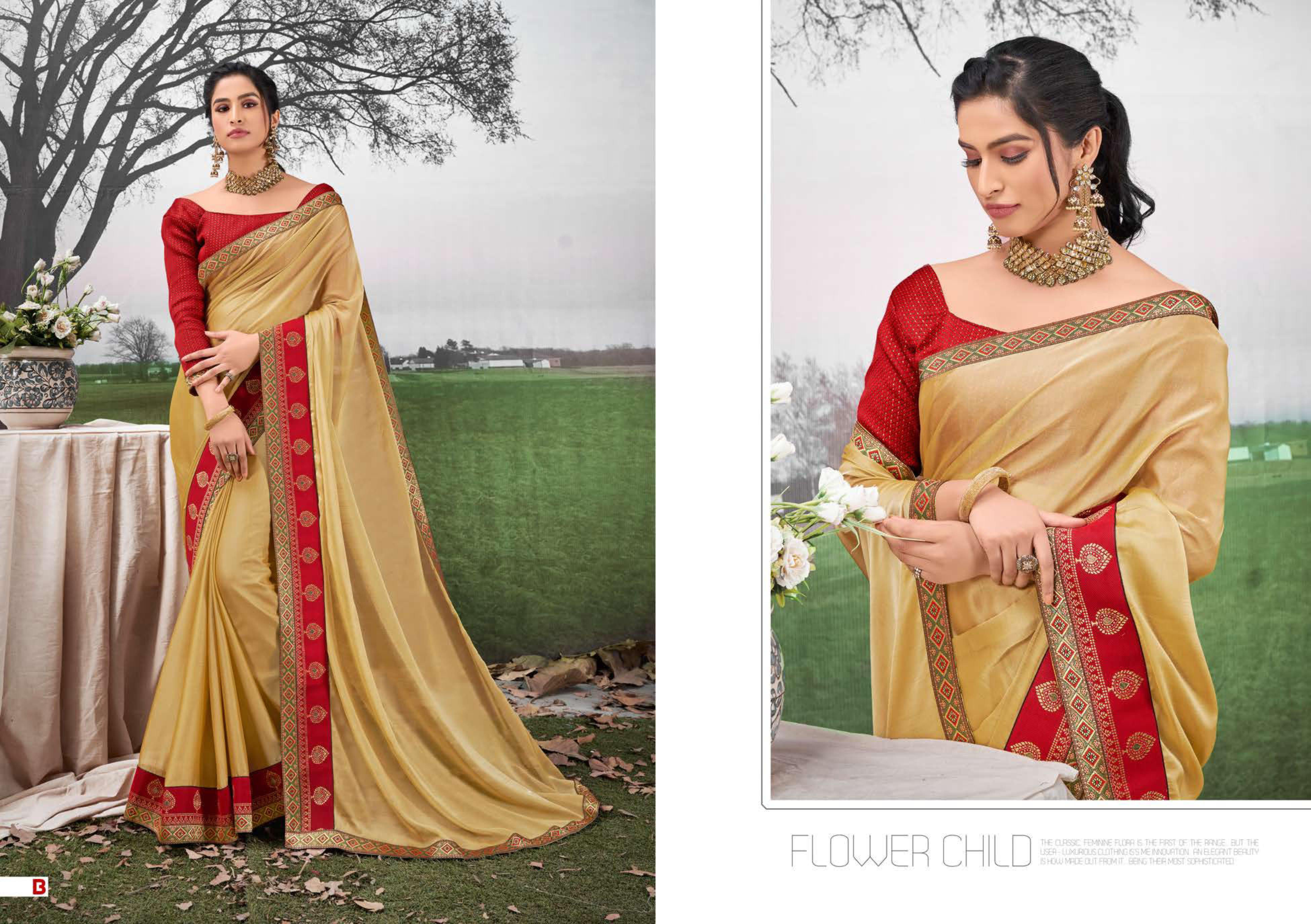 Shravya Nayantara Fancy Chiffon Silk Sarees  Catalog