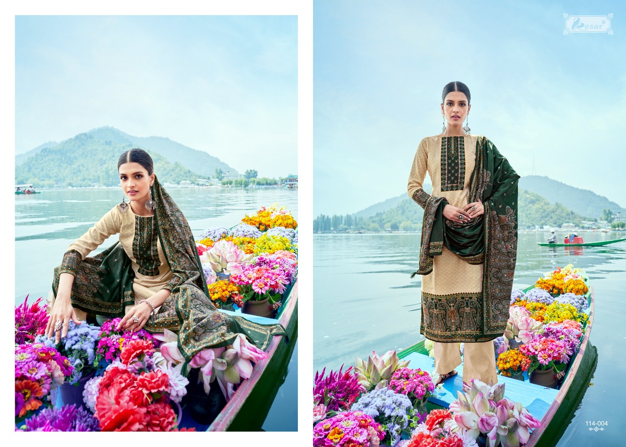 Kesar Saaj Viscose Pashmina Dress Material Catalog