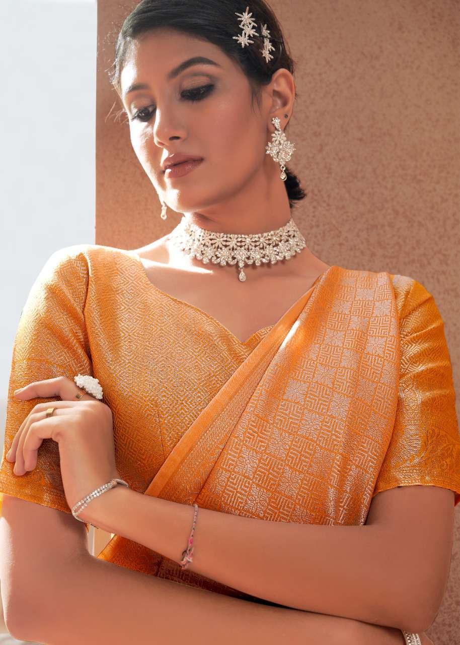 RAJYOG AVALOKI SILK SAREES AUTHORIZED SUPPLIER IN SURAT