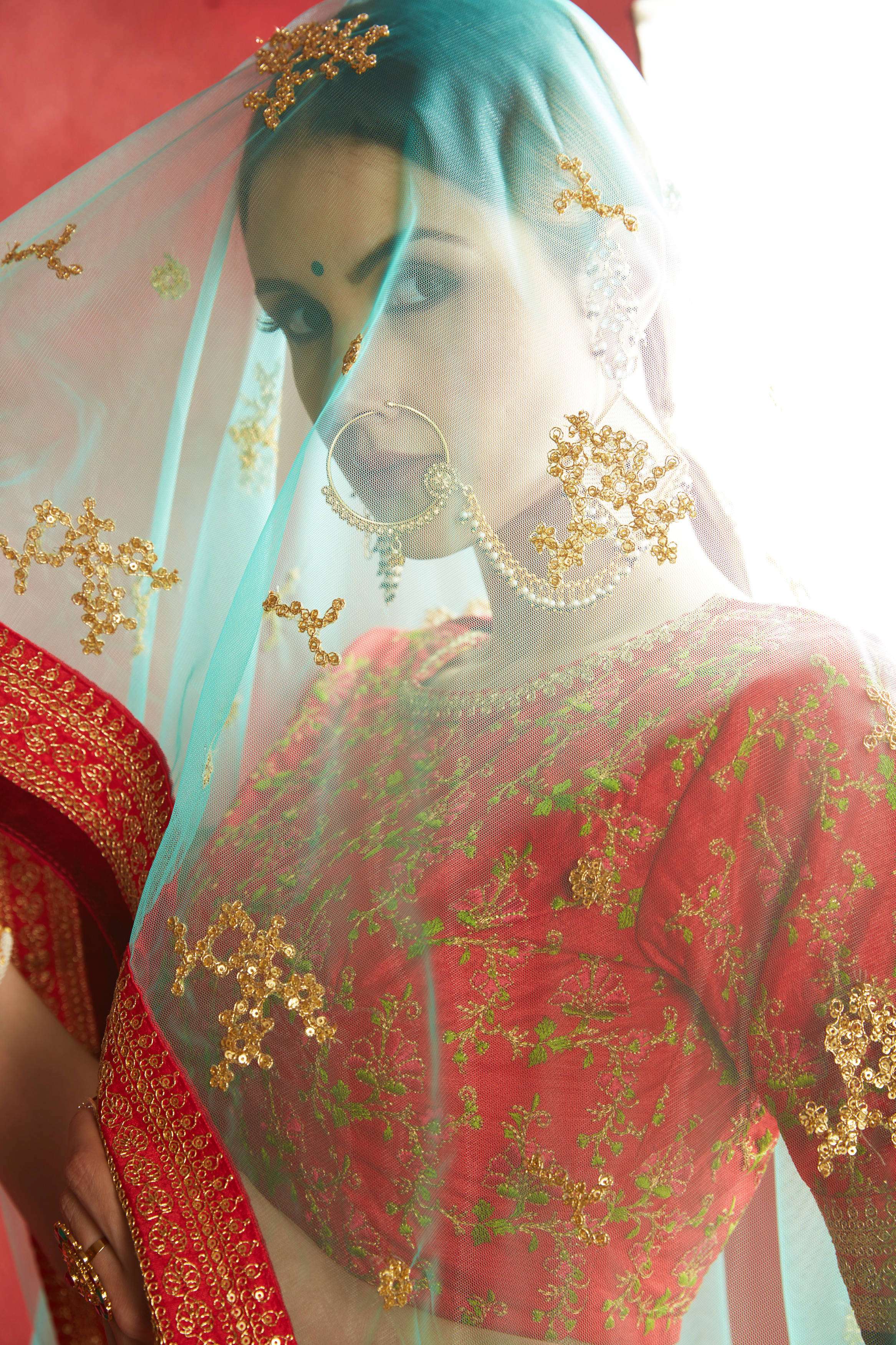 Designer Lehenga Choli at wholesale catalog