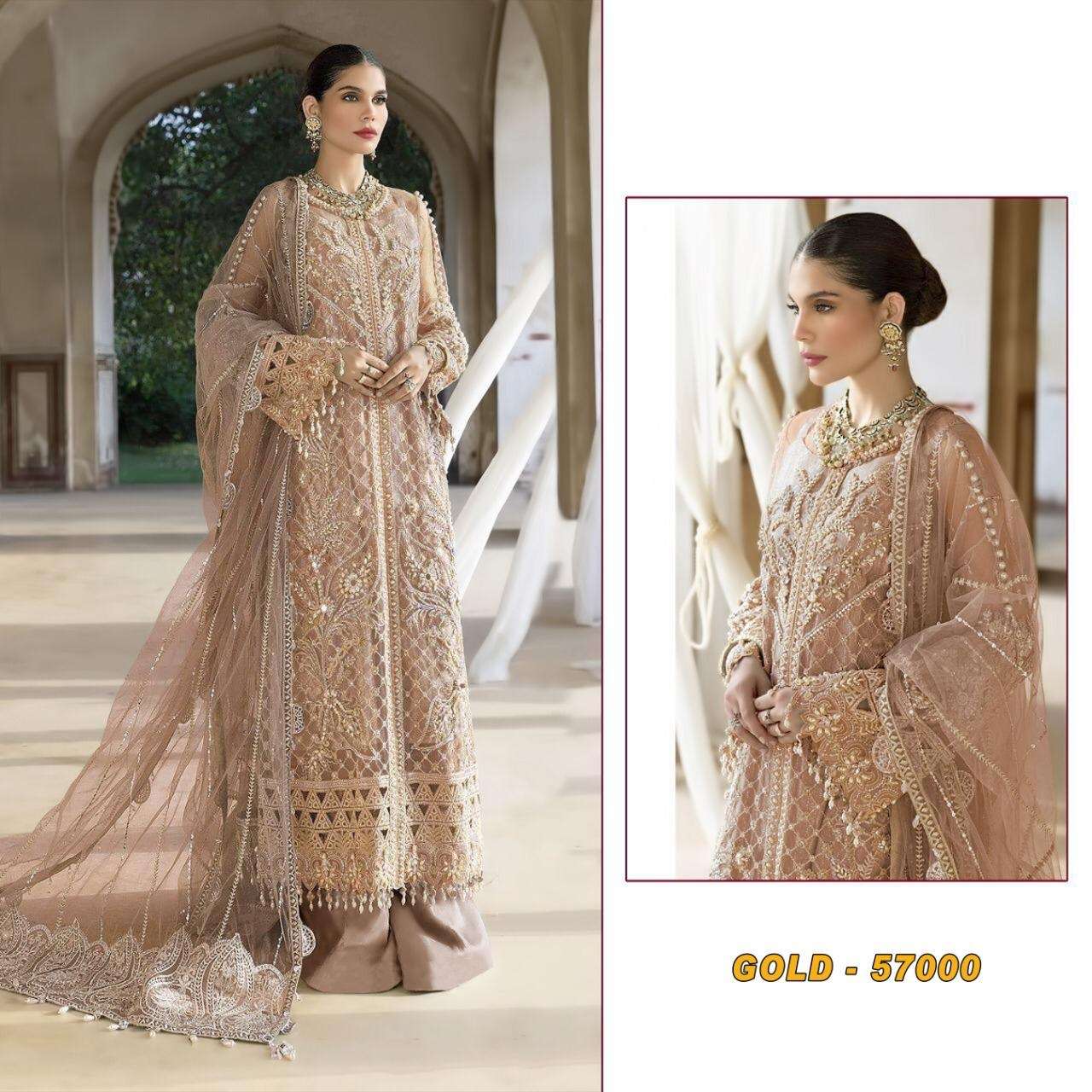 Pakistani  Concept...  Super Hit Design   GOLD -57000