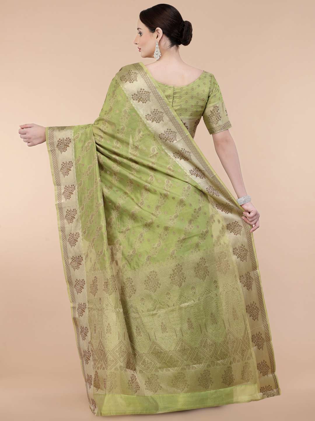 Anika Vol 5 Fancy Wear Organza Saree Wholesale catalog