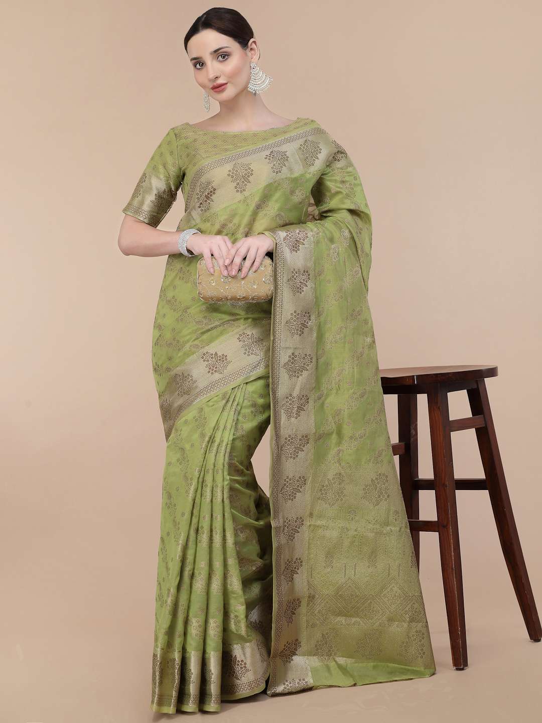 Anika Vol 5 Fancy Wear Organza Saree Wholesale catalog