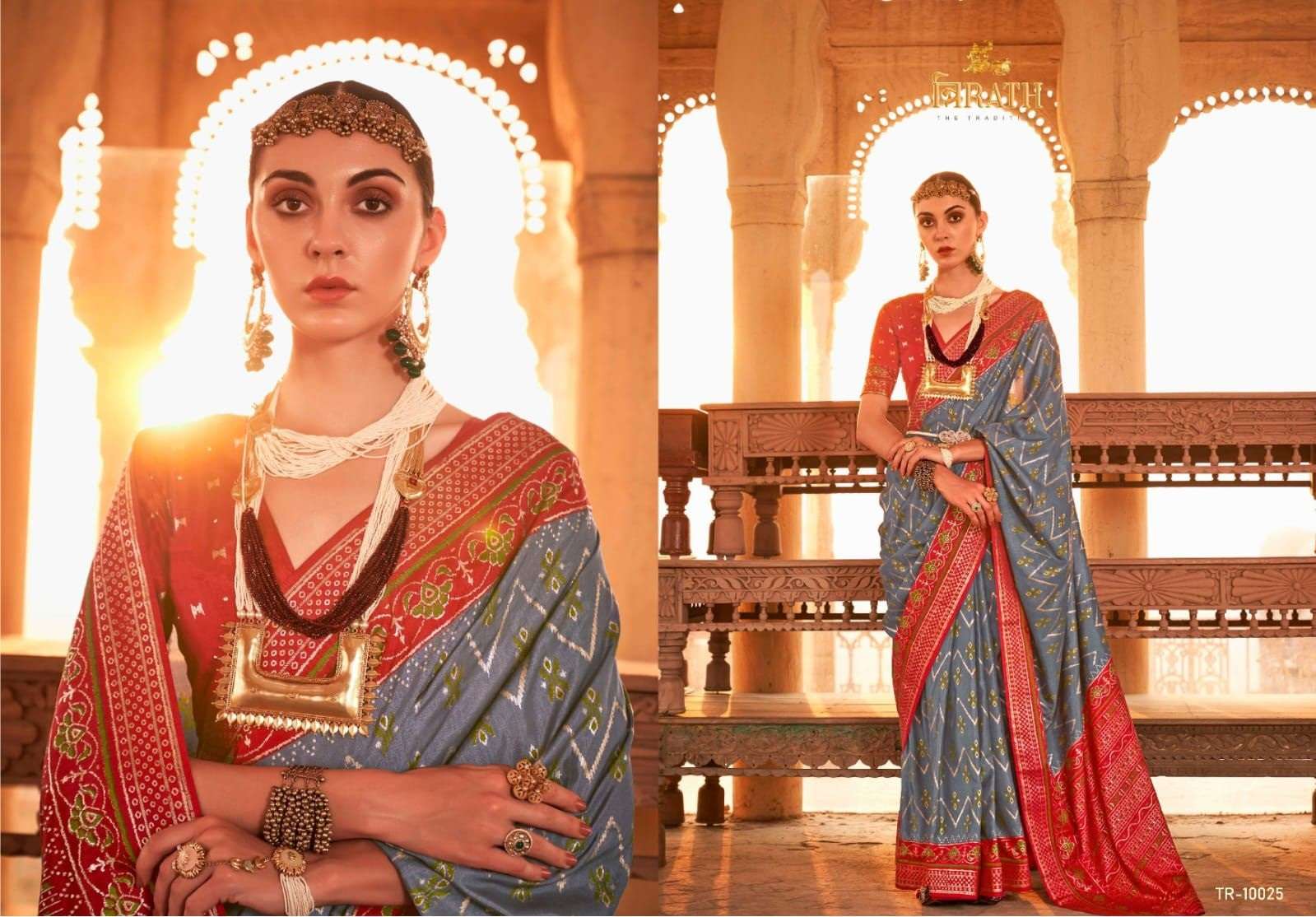 Trirath Pure Patola Vol 2 Heavy Silk Saree Wholesale catalog