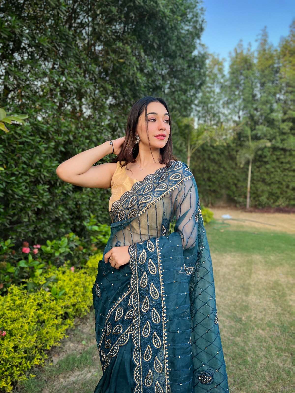 Anisha Embroidery Worked Organza Saree Wholesale catalog