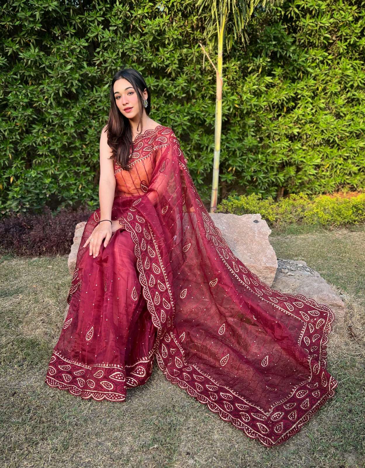 Anisha Embroidery Worked Organza Saree Wholesale catalog