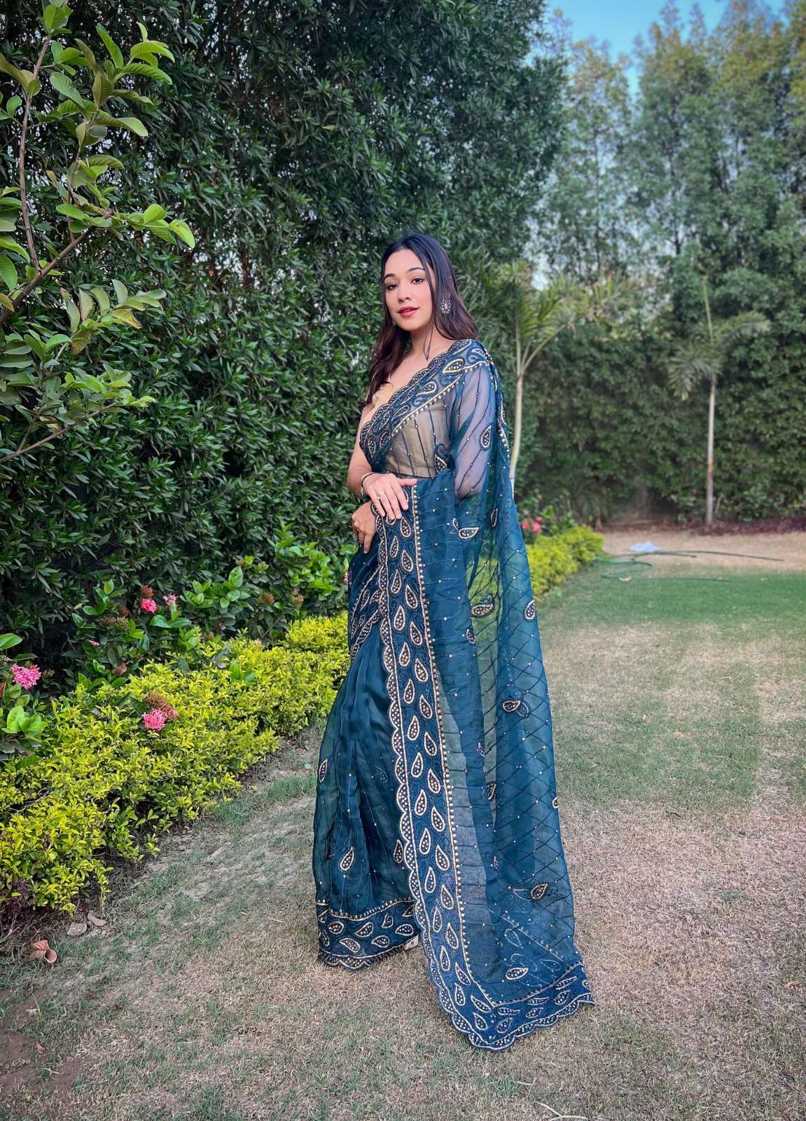 Anisha Embroidery Worked Organza Saree Wholesale catalog