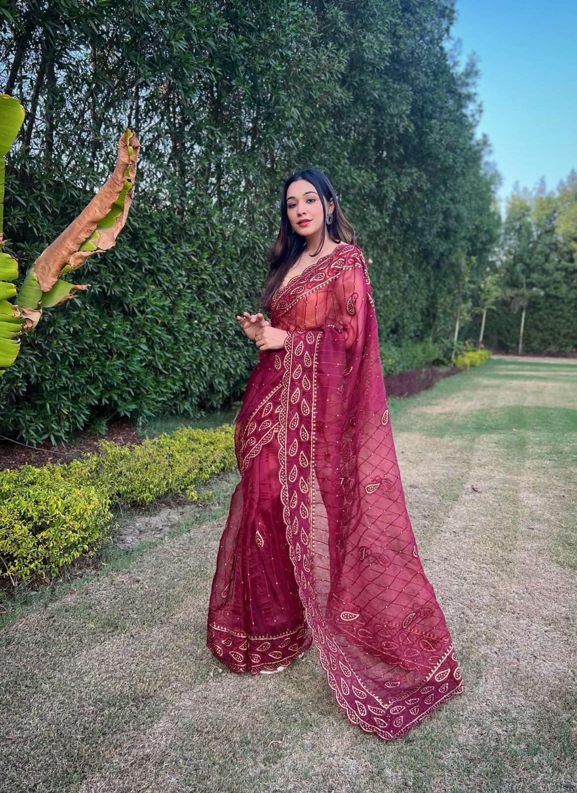 Anisha Embroidery Worked Organza Saree Wholesale catalog