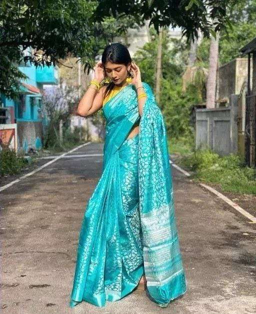 Panvel LITCHI SILK Saree Wholesale catalog