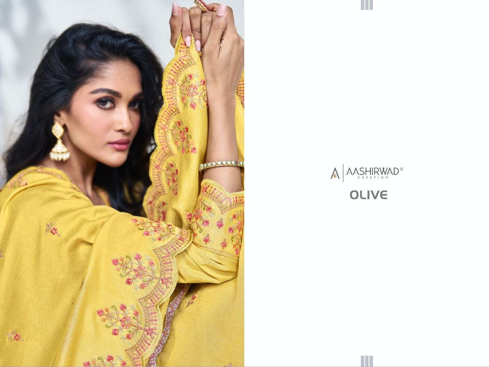 AASHIRWAD CREATION OLIVE   Salwar kameez Wholesale catalog