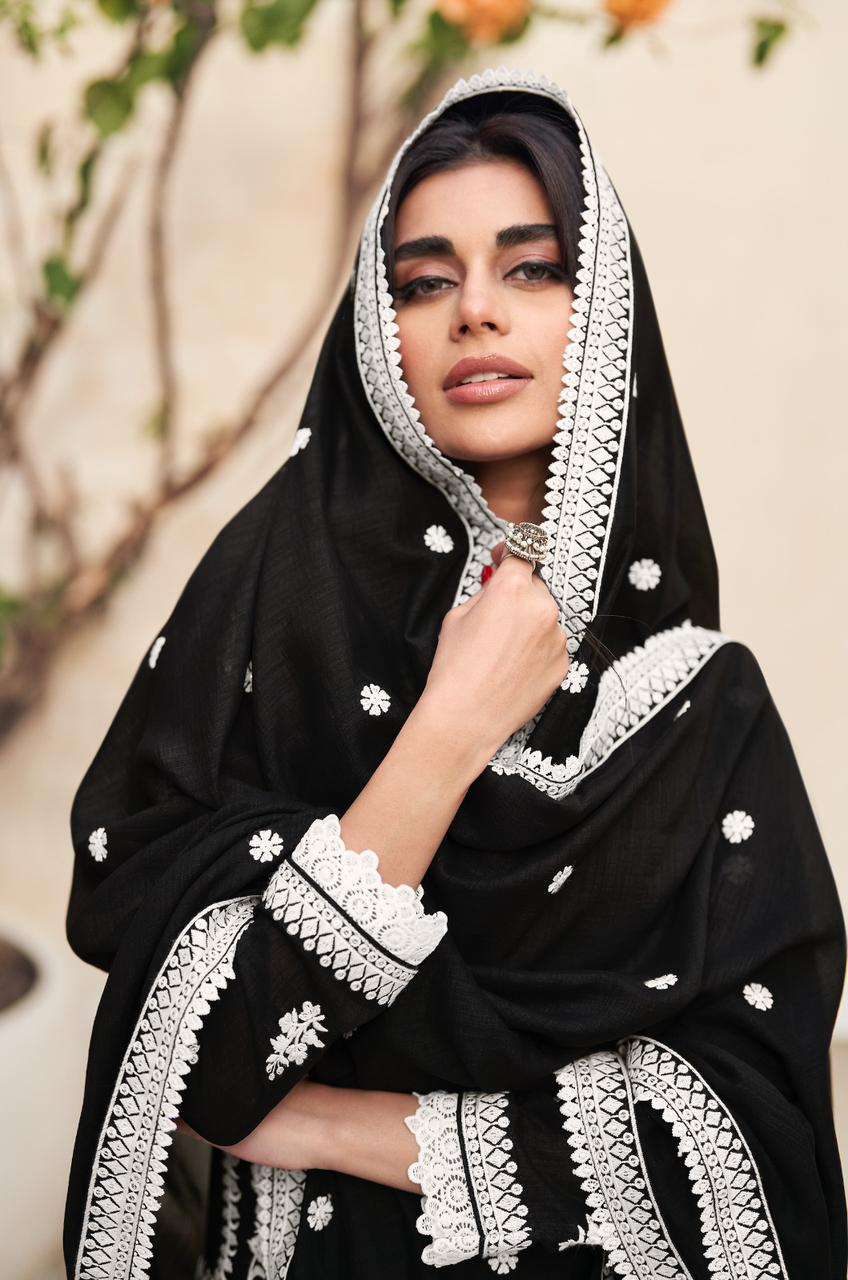 AASHIRWAD MIRZA Salwar Kameez Wholesale catalog