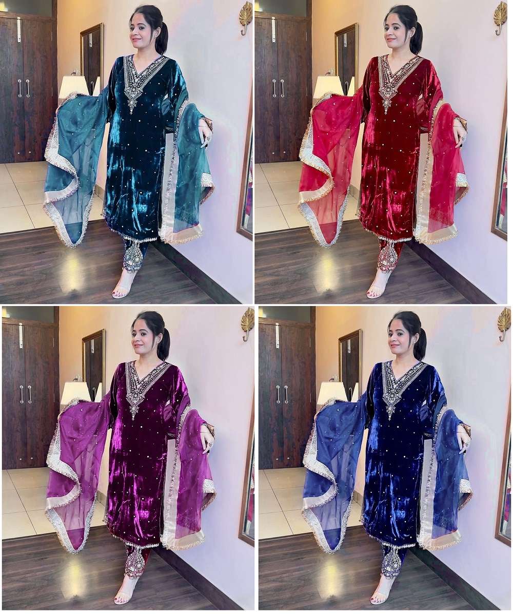 1158 Heavy Velvet Embroidered Salwar Kameez Wholesale catalog