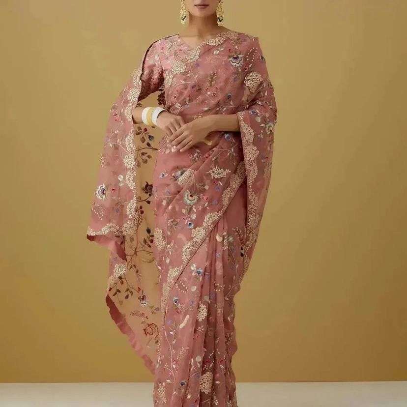 Aarya 1 Organza Sequence Worked Sarees Wholesale catalog