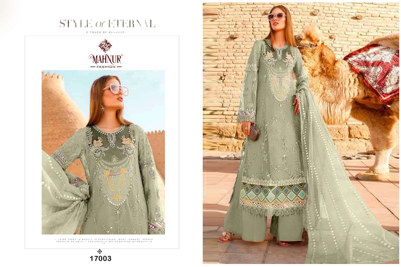 Mahnur Emaan Adeel Vol 17 Pakistani Suits Wholesale catalog
