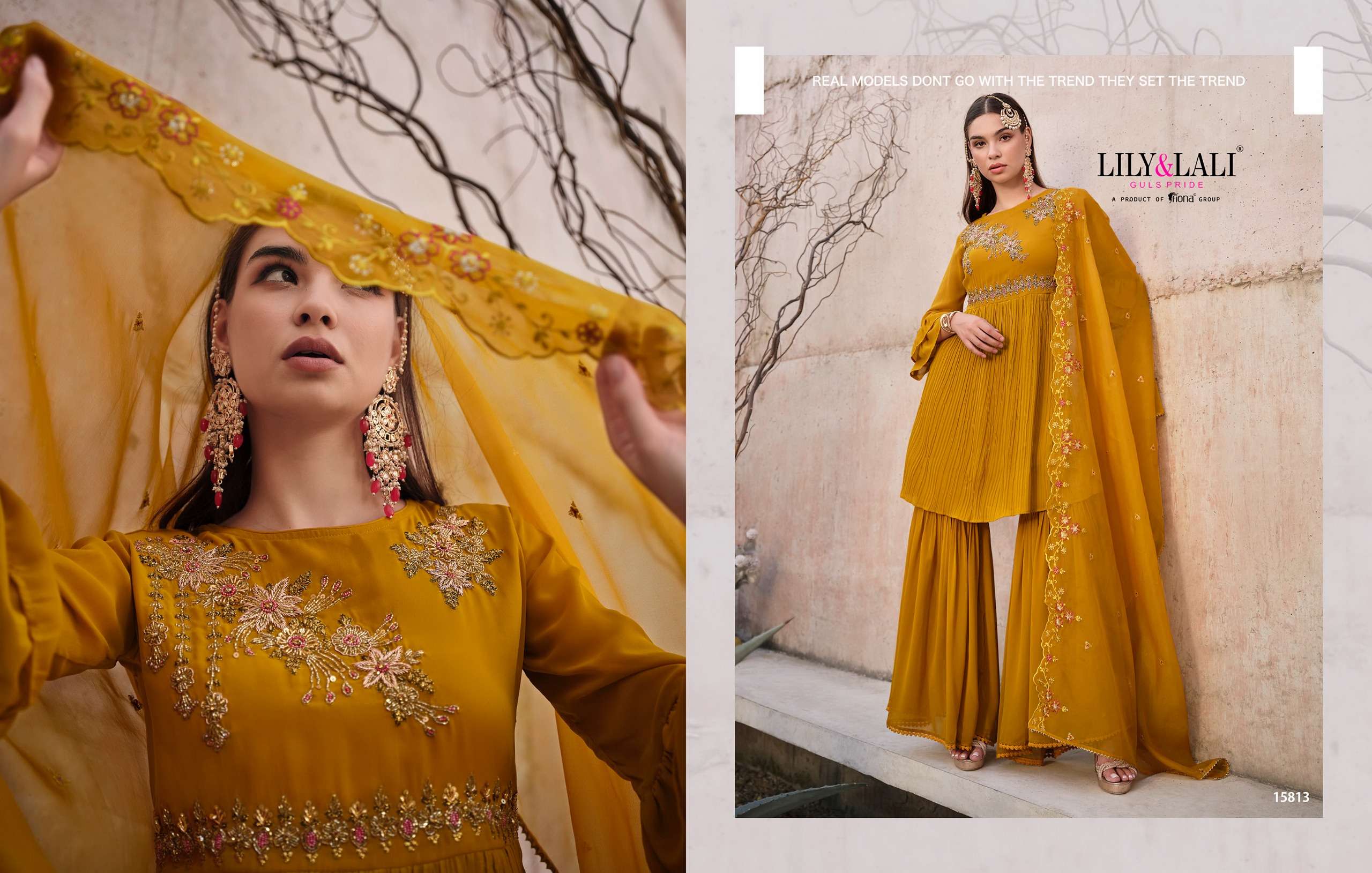 LILY & LALI DIDAAR Salwar Kameez Wholesale catalog