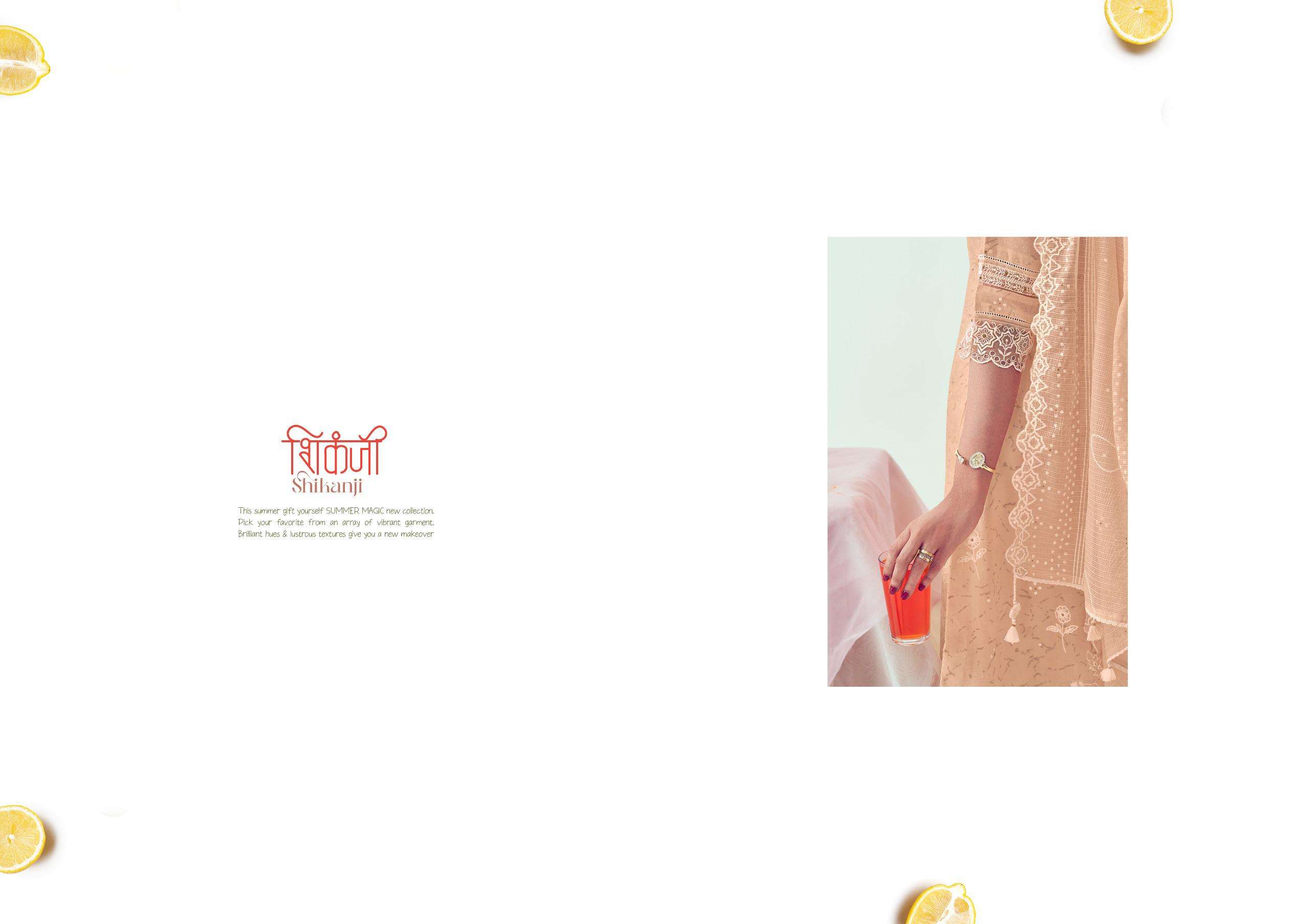 JAYVIJAY SHIKANJI Salwar Kameez Wholesale catalog
