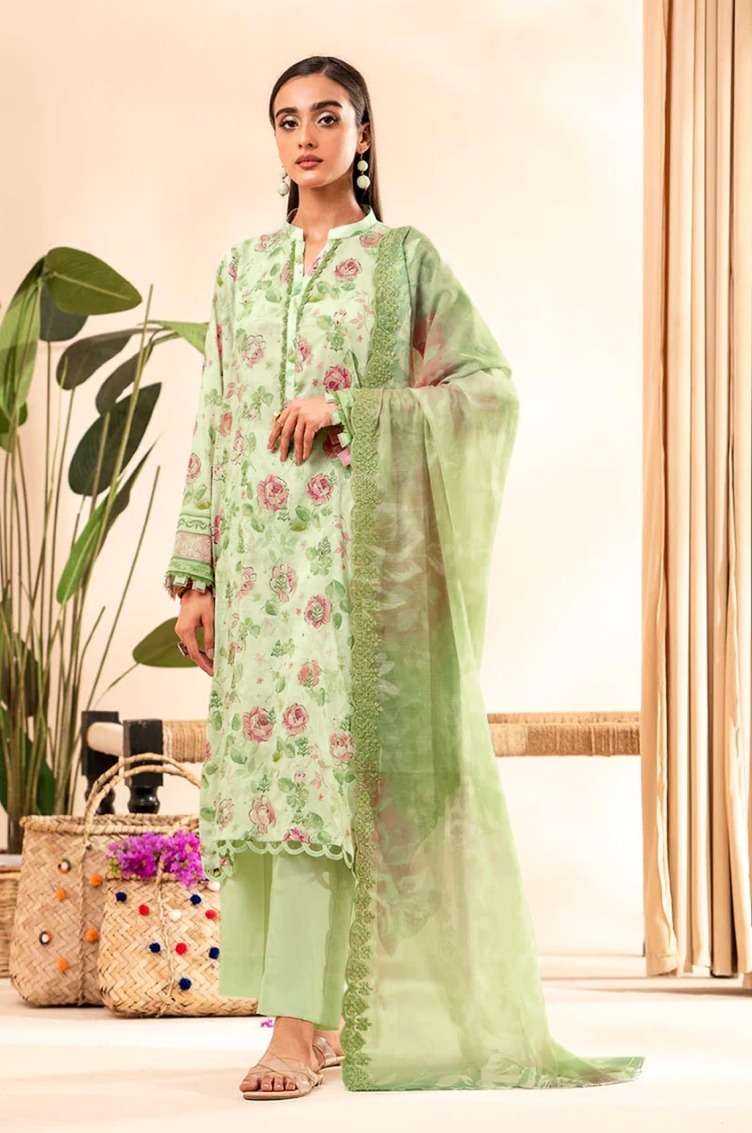 Taj 504 And 505 Cotton Dupatta Pakistani Suits Wholesale catalog