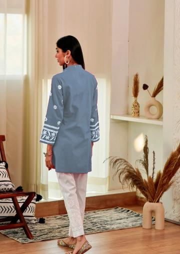 RASILI NX THANIYA Kurti Wholesale catalog