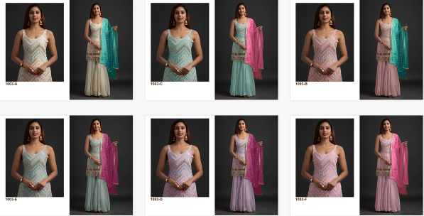 Ct 1003 Georgette Embroidered Salwar Kameez Wholesale catalog