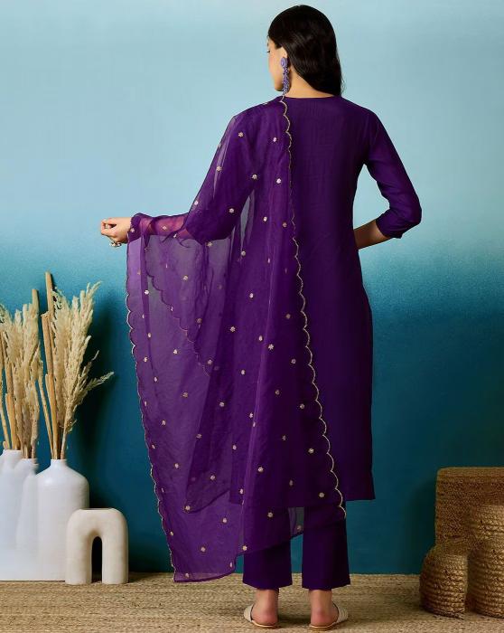 Geet 01 Chanderi Fancy Kurti wholesale catalog