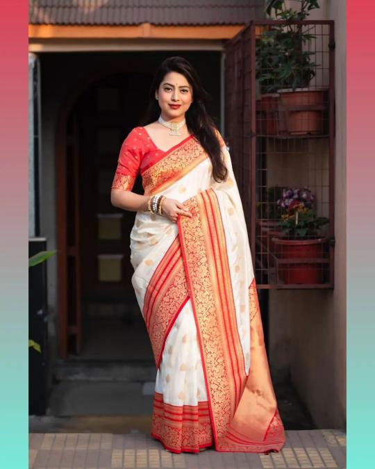Aab Hemali Soft Lichi Silk Fancy Saree Wholesale Catalog
