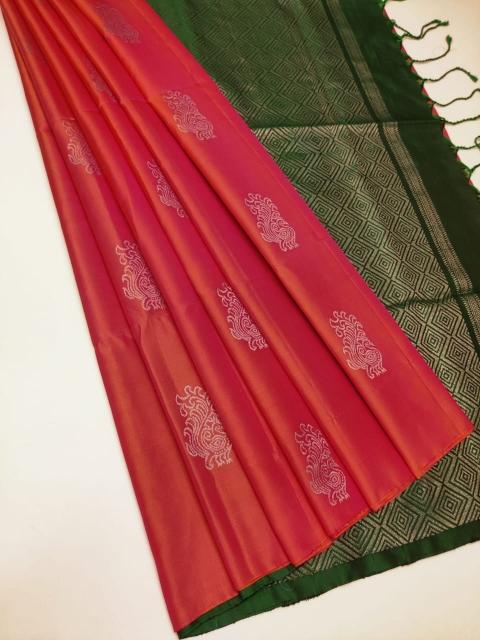 Sabella Apple 21014147447474 india sarees ulhasnagar