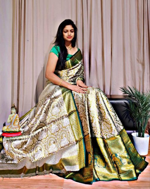 Dazira Aakshi Vol 10 Catalog beautiful sarees online shopping india
