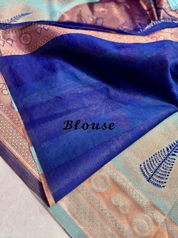 Dazira majestic Banarasi Silk Catalog actress in saree india five