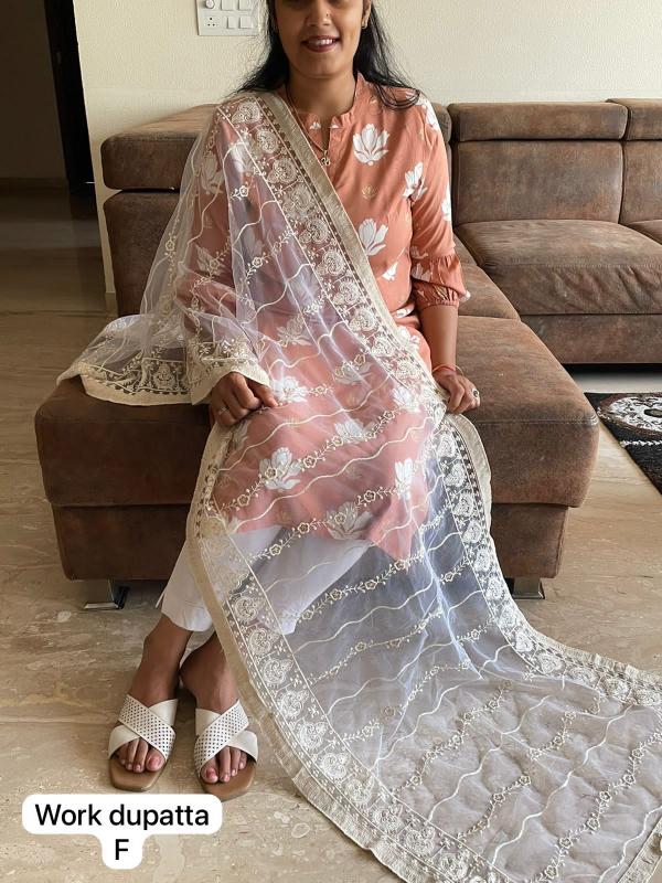 Net Fancy Work Stole Dupatta catalog net Dupatta at wholesaler in gujarat