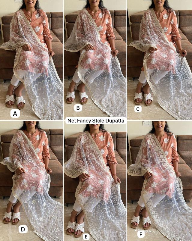 Net Fancy Work Stole Dupatta catalog net Dupatta at wholesaler in gujarat