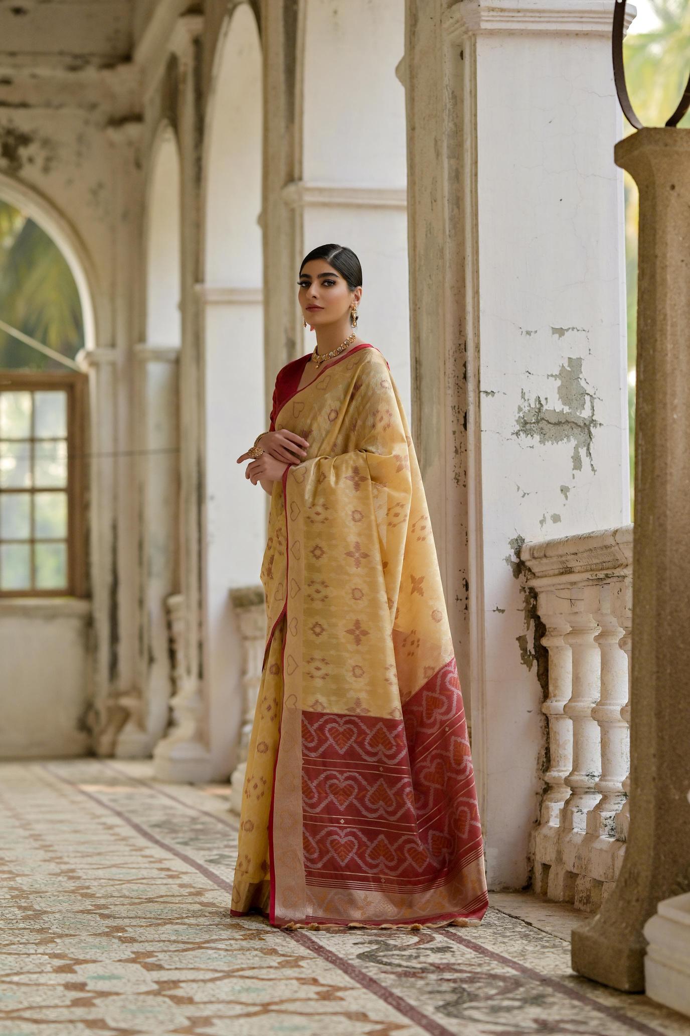 Dazira Soft Desi Raw silk catalog model india saree