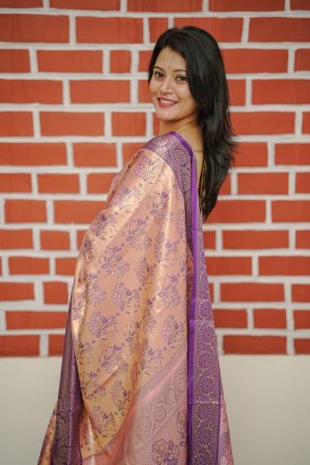Dazira Pushpa Vol 5 catalog kanjivaram saree catalogue in surat
