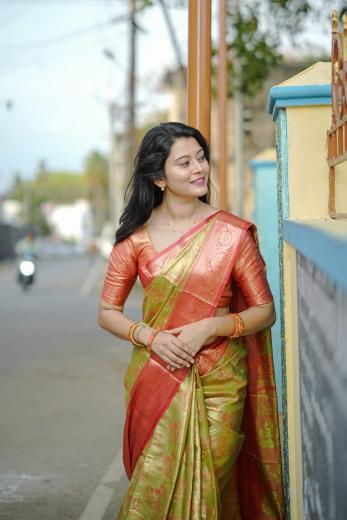 Dazira Pushpa Vol 5 catalog kanjivaram saree catalogue in surat
