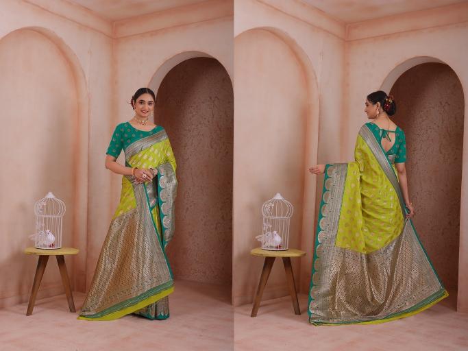 Dazira Yeola Paithani catalog saree manufacturers in surat india