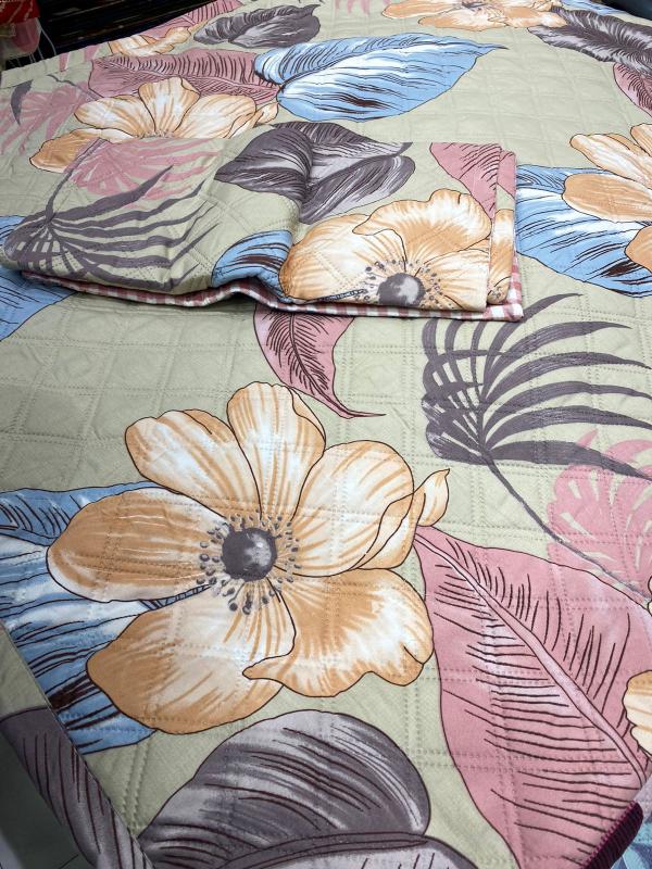 Siara Pure cotton Premium Bedcovers