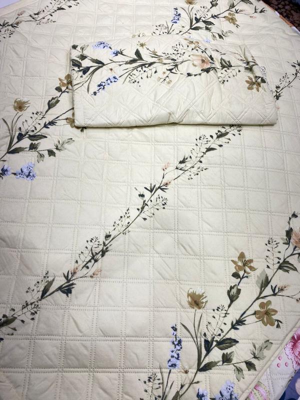 Siara Pure cotton Premium Bedcovers