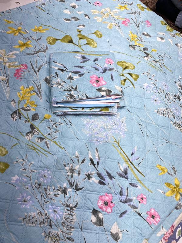 Siara Pure cotton Premium Bedcovers