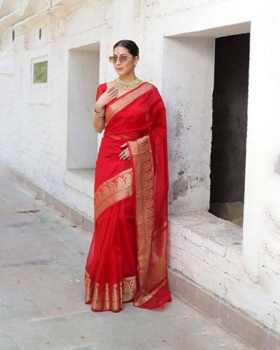 Ethosari SF 591 catalog supplier manufacturer of sarees in surat