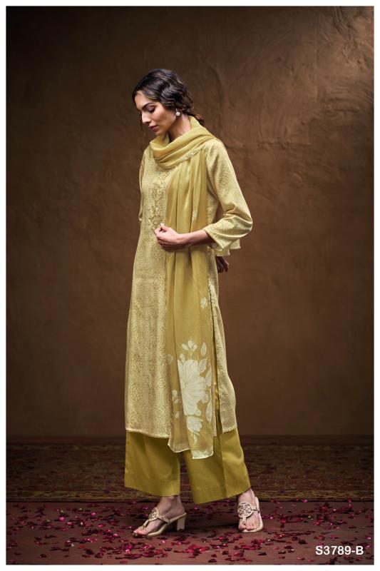 Ganga Vashika 3789 catalog wholesale salwar kameez online