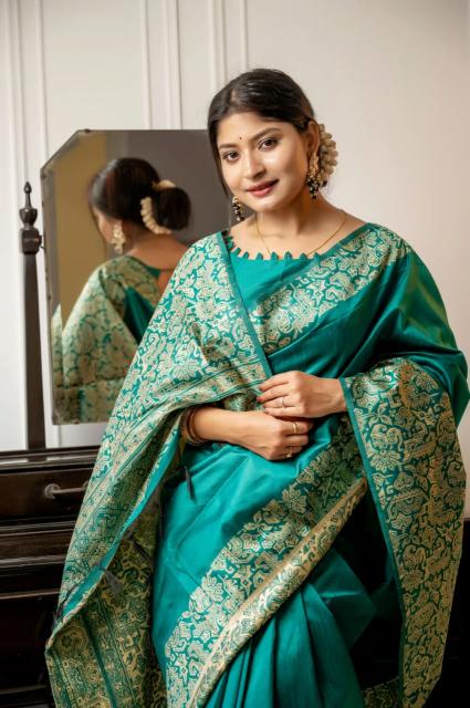 Dazira Handloom Raw Silk catalog saree video surat