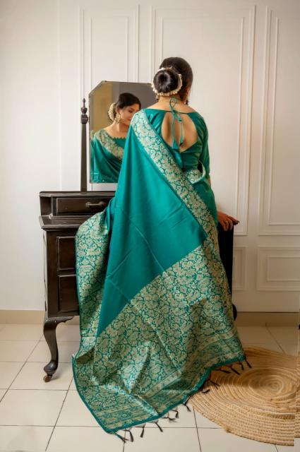 Dazira Handloom Raw Silk catalog saree video surat